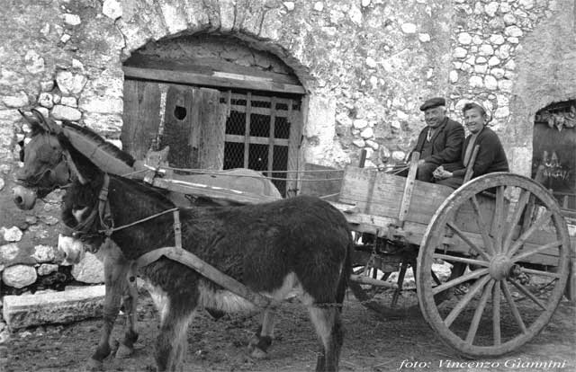 In partenza x la campagna