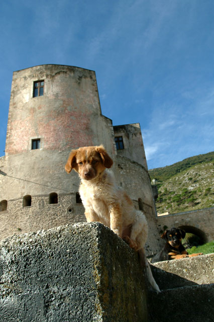 Il guardiano