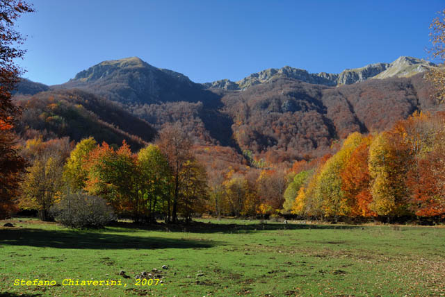 Autunno sul prato